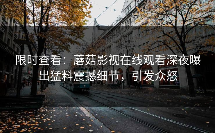 限时查看：蘑菇影视在线观看深夜曝出猛料震撼细节，引发众怒