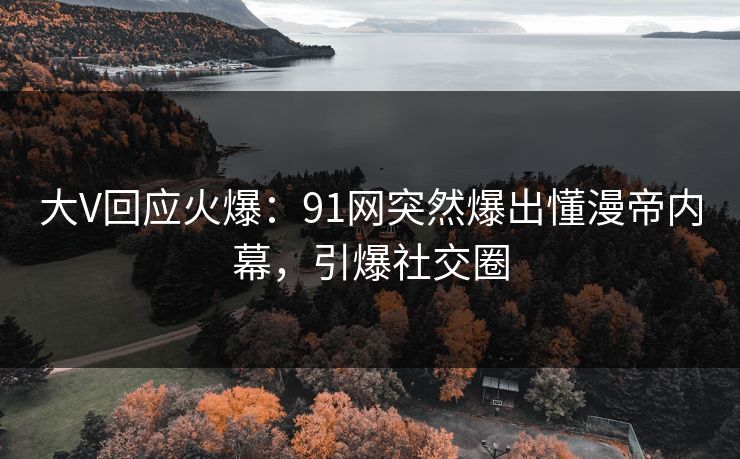 大V回应火爆：91网突然爆出懂漫帝内幕，引爆社交圈