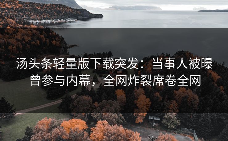 汤头条轻量版下载突发：当事人被曝曾参与内幕，全网炸裂席卷全网