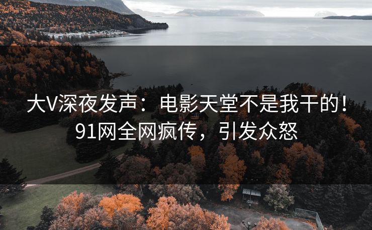 大V深夜发声：电影天堂不是我干的！91网全网疯传，引发众怒