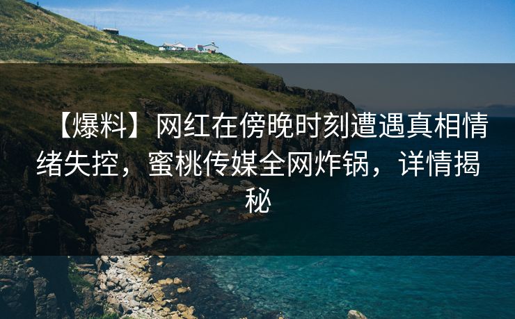 【爆料】网红在傍晚时刻遭遇真相情绪失控，蜜桃传媒全网炸锅，详情揭秘