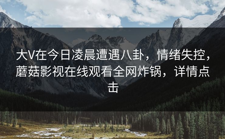 大V在今日凌晨遭遇八卦，情绪失控，蘑菇影视在线观看全网炸锅，详情点击