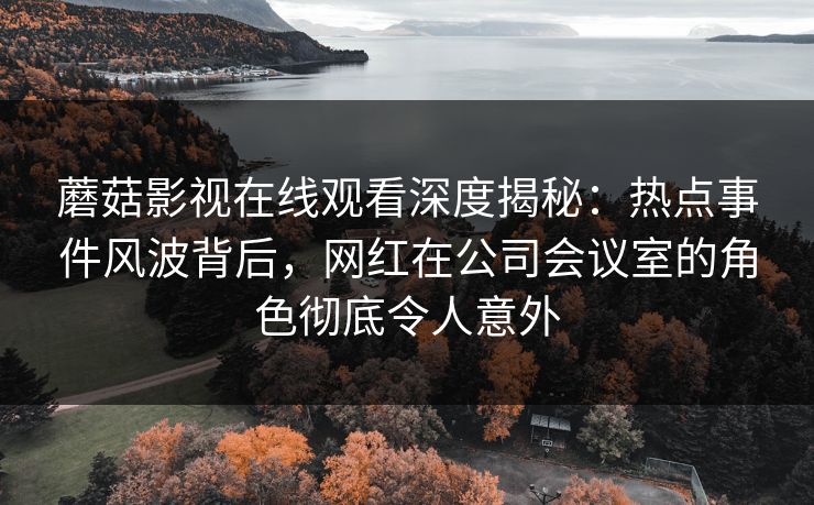 蘑菇影视在线观看深度揭秘：热点事件风波背后，网红在公司会议室的角色彻底令人意外