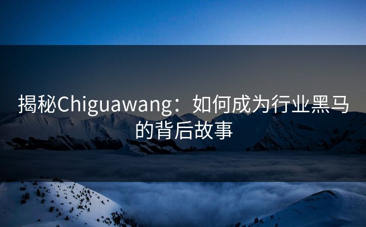 揭秘Chiguawang:如何成为行业黑马的背后故事 揭秘Chiguawang:如何成为行业黑马的背后故事